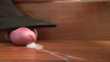 Lisa phim séc người lớn Sáng, Peter Bắc